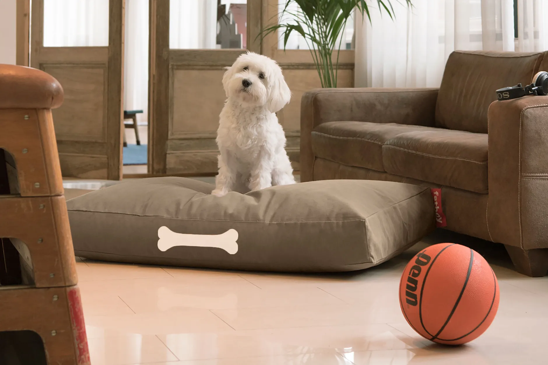 Doggielounge L Canvas Hundebetten, grau, 80x120x15 cm
