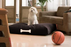 Doggielounge L Canvas Hundebetten, schwarz, 80x120x15 cm