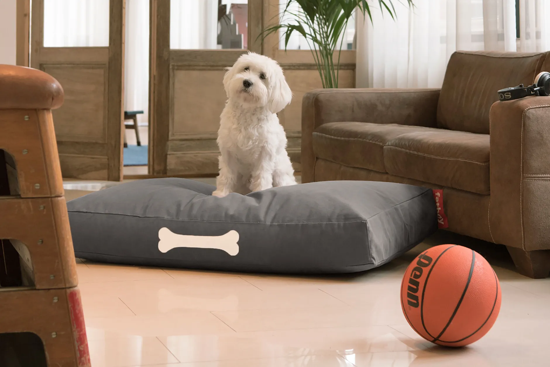 Doggielounge L Canvas Hundebetten, grau, 80x120x15 cm